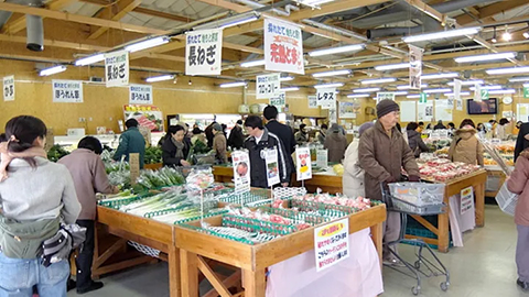 農産物直売所かしわで